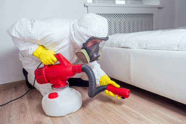Wasp Removal Services in Mcconnellstown, PA