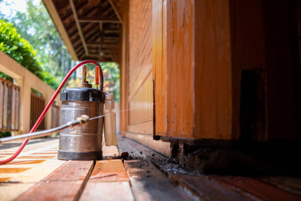 Best Ant Control Services  in Mcconnellstown, PA