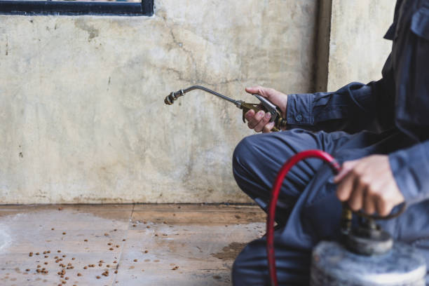 Best Pest Prevention Services  in Mcconnellstown, PA